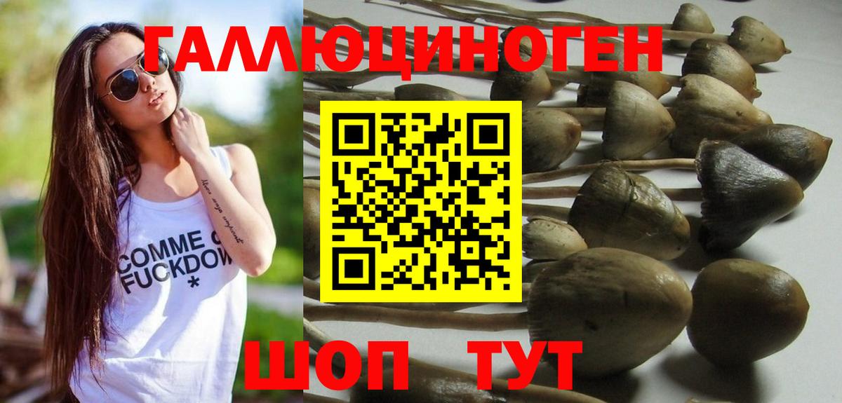 Галлюциногенные грибы прущие грибы  Вход с VPN  Армавир 